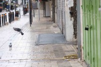 Bati Seria'da Aruri'nin Öldürülmesine Tepki Olarak Greve Gidildi