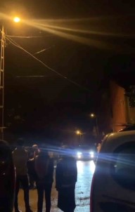 Beykoz'da Köpege Siddet Uygulayan Sahis Gözaltina Alindi