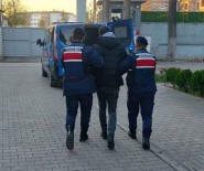 Çankiri'da Aranan 95 Suçlu Yakalandi