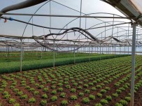 Eskisehir'de Kirsal Kalkinma Destekleri Basvurulari Basladi