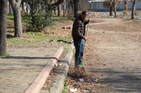 Kahramanmarasli Depremzede Yasadigi Mahallenin Park Ve Bahçelerini Temizliyor