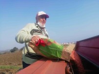 Manyasli Çiftçiler Tohumlari Toprakla Bulusturdu