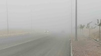Sanliurfa'da Yogun Sis Etkili Oluyor