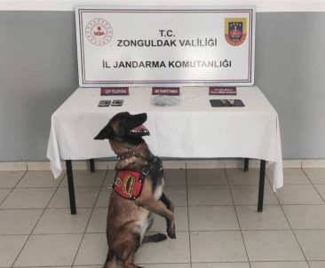 Zonguldak'ta Jandarmadan Uyusturucu Operasyonu