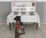 Zonguldak'ta Jandarmadan Uyusturucu Operasyonu