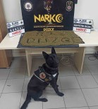 Uyusturucu Operasyonlarinda 5 Kisi Tutuklandi