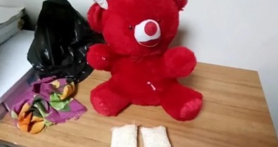 Oyuncak ayıdan 1825 uyuşturucu hap çıktı