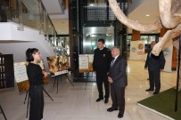 Baskan Büyükkiliç, Il Jandarma Komutani Dedebagi'ni Agirladi