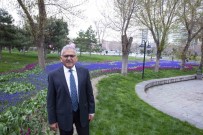 Büyükkiliç'in Baskanliginda, Sehirdeki Yesil Alanda Yaklasik 2 Milyon Metrekare Artis