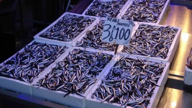 Hamsi Ihracatindan Iki Yilda Yaklasik 25 Milyon Dolar Döviz Geliri Elde Edildi