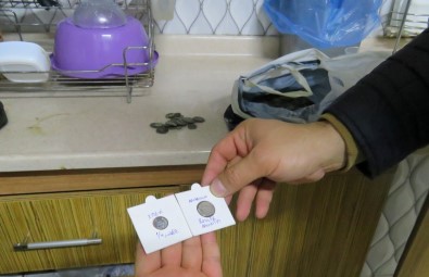 Mersin'de Bir Evde Çok Miktarda Tarihi Eser Ele Geçirildi