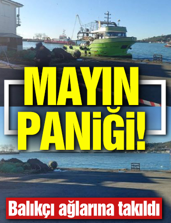 Zonguldak'ta mayın paniği... Balıkçı ağlarına takıldı