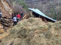Artvin'de Ahir Çöktü Açiklamasi 2 Hayvan Telef Oldu
