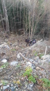 Inegöl'de Kayip Olan Gencin Cesedi Bilecik'te Ormanlik Alanda Gömülü Bulundu