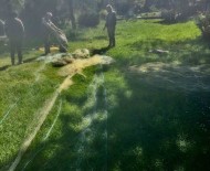 Kaçak Avcilara Göz Açtirmadilar