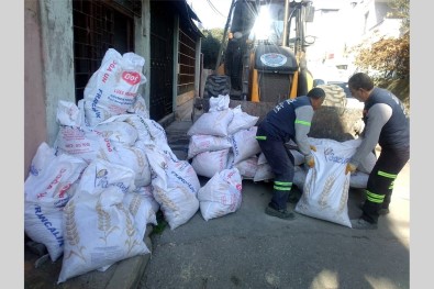 Akdeniz'de Temizlik Çalismalari