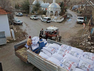 Antalya Büyüksehir'den Besicilere, Yüzde 15'I Hibeli Süt Yemi Destegi Basladi
