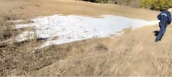 Köyde Dilan Polat isyanı! Kamyon kamyon döküp arıları ve suyu zehirlediler!