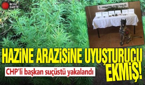 Hazine arazisine uyuşturucu ekmiş! CHP'li başkan suçüstü yakalandı