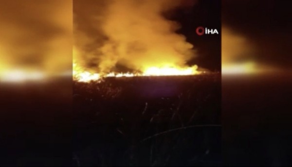 Hakkari kuş cennetinde yangın