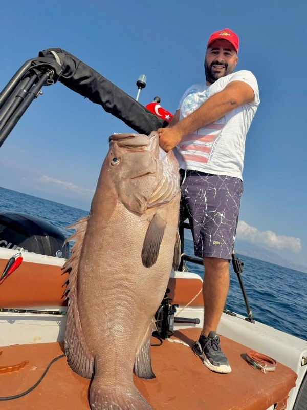 Balıkçı gözlerine inanamadı! 1.5 metrelik balık takıldı