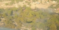 Arazi'den ormana sıçradı! Korkutan yangın...