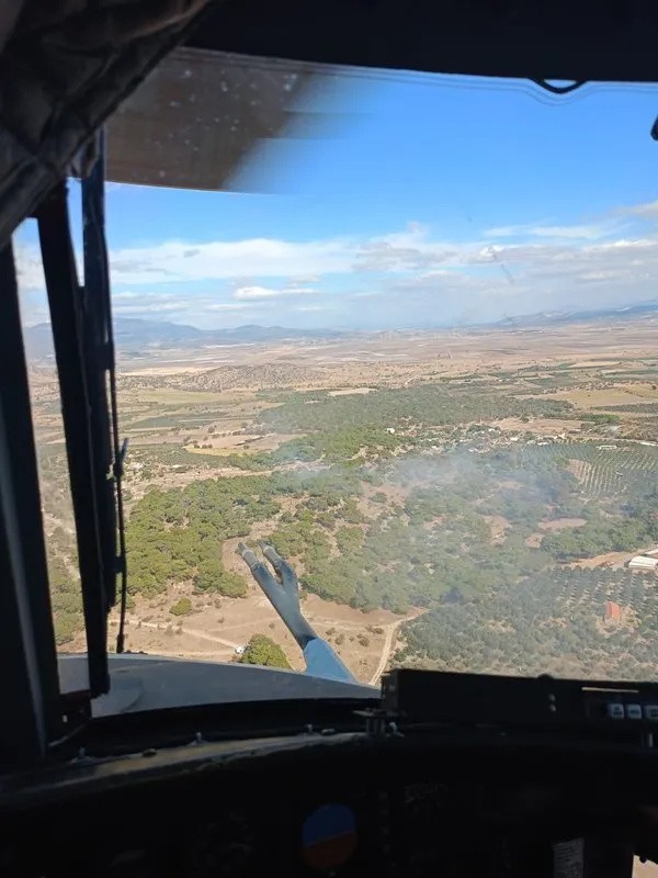 Arazi'den ormana sıçradı! Korkutan yangın...