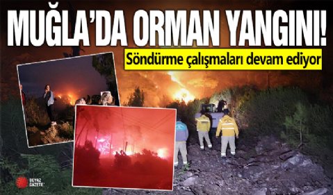 Muğla'da orman yangını! Alevler büyüdü, söndürme çalışmaları devam ediyor