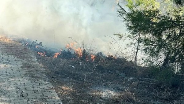 Antalya'da orman yangını!