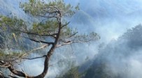 Hatay'da orman yangını: Müdahale sürüyor