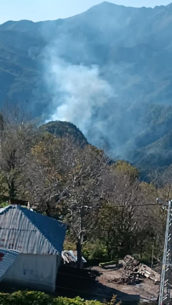 Hatay'da orman yangını: Müdahale sürüyor
