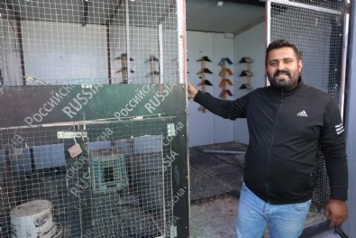 Güvercin tutkusu için öyle bir şey yaptı ki: Görenler şaşıp kalıyor!