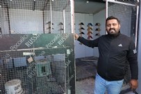 Güvercin tutkusu için öyle bir şey yaptı ki: Görenler şaşıp kalıyor!