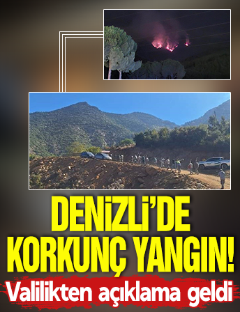 Denizli'deki orman yangını devam ediyor