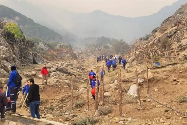 Denizli'deki orman yangını devam ediyor