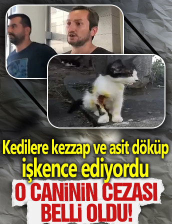 Kedilere kezzap ve asit döküp işkence ediyordu: O caninin cezası belli oldu!