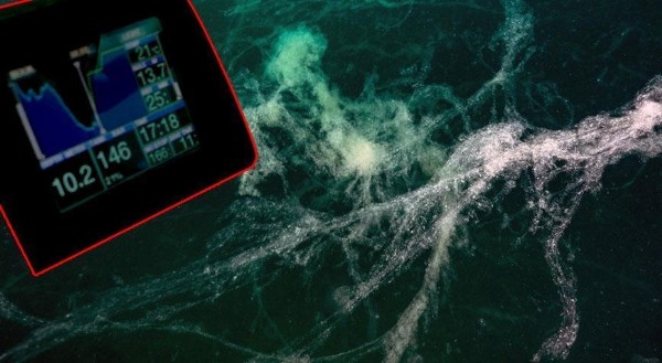 Marmara Denizi'nde sessiz tehlike! '24 metreye kadar yayıldı'