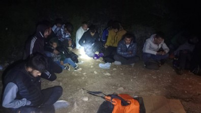 Aydın'da makilik alana gizlenen 25 düzensiz göçmen yakalandı