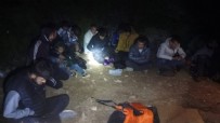 Aydın'da makilik alana gizlenen 25 düzensiz göçmen yakalandı