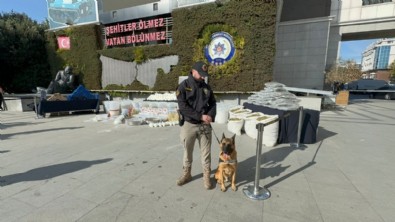 İstanbul'da narkotik operasyonu: Köpek uyuşturucudan zehirlendi