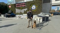 İstanbul'da narkotik operasyonu: Köpek uyuşturucudan zehirlendi