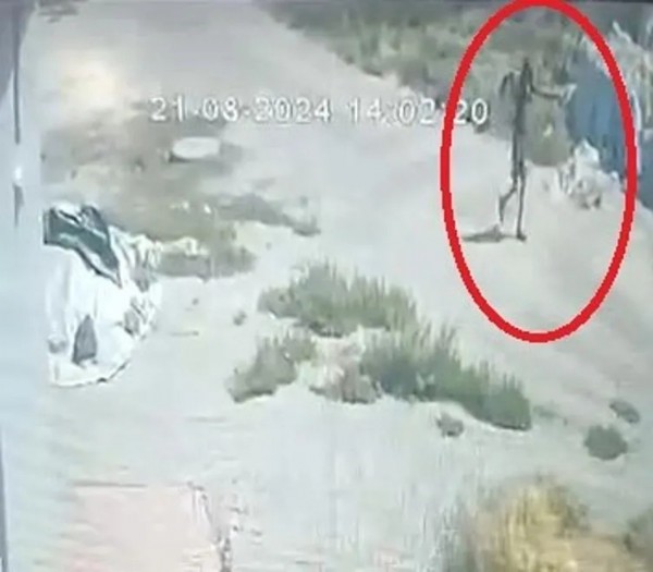 Narin Güran cinayetinde HTS kayıtlarının dakika dakika şeması yayınlandı!