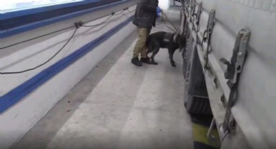 Edirne'de Hamzabeyli Sınır Kapısı'nda 17 kilogram kokain yakalandı