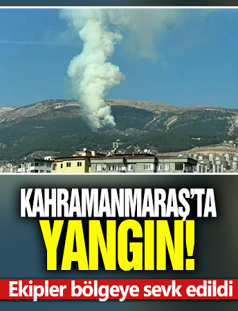 Kahramanmaraş'ta orman yangını! Ekipler devrede