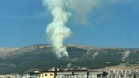 Kahramanmaraş'ta orman yangını! Ekipler devrede