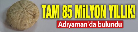 Tam 85 milyon yıllık! Adıyaman'da bulundu