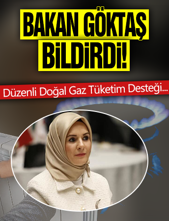 Düzenli Doğal Gaz Tüketim Destek Programı ödemeleri başladı