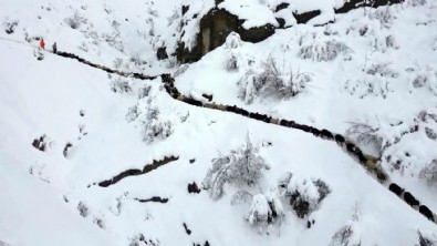 Kar yağışı felakete neden oldu! Uçurumdan düştüler