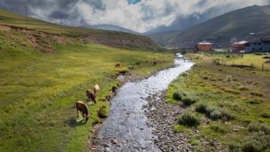 Valilik duyurdu: 15 gün yasak olacak...