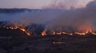 Balıkesir'deki yangın kontrol altına alındı